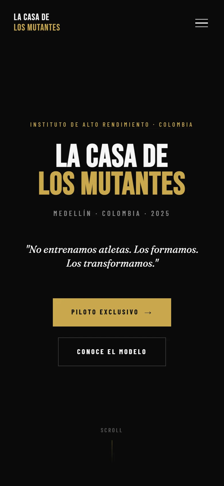 El mismo sitio en un celular